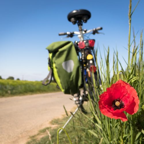 cykla på österlen cykla på österlen